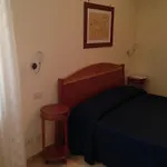La Conchiglia 3*