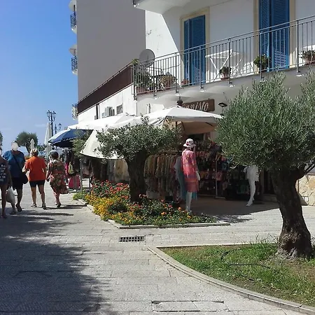 La Conchiglia 3*