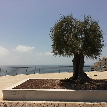 La Conchiglia 3* Sperlonga