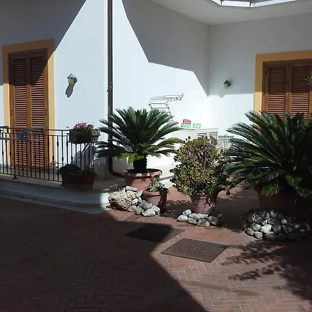La Conchiglia Hotel 3*